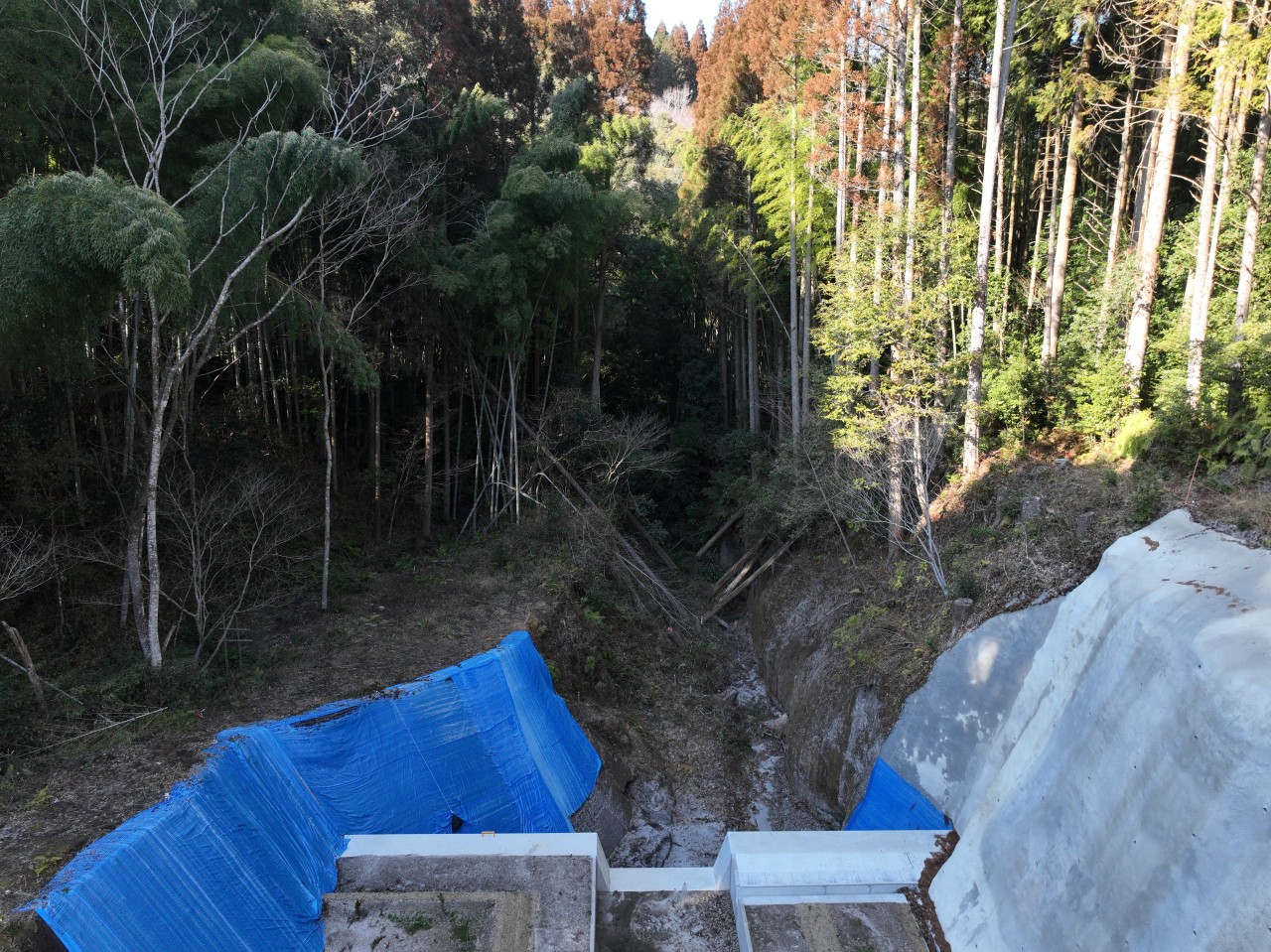 令和6年度　復旧治山事業（前原）
