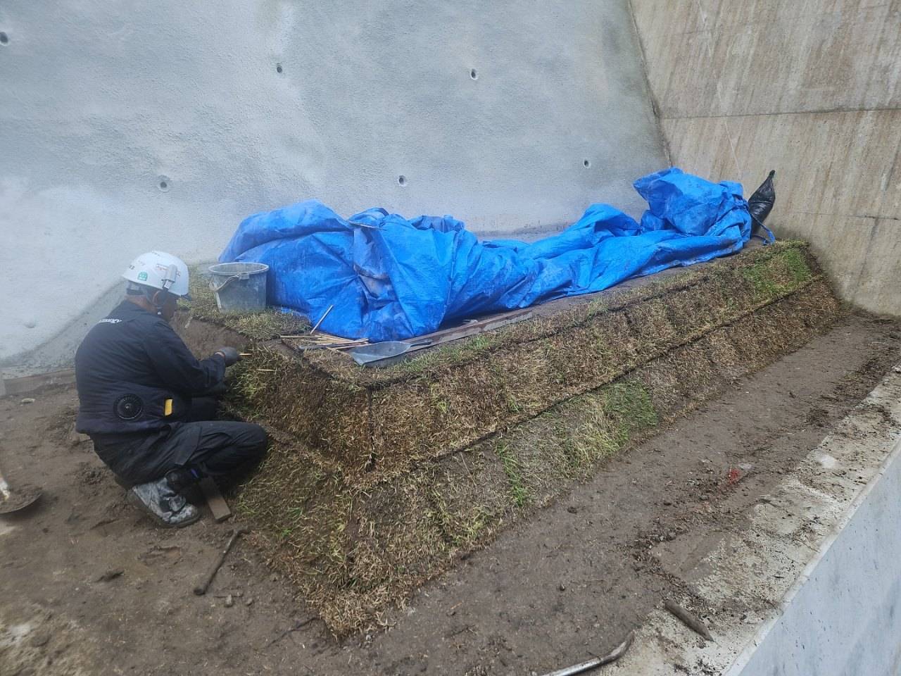 令和6年度　復旧治山事業（前原）