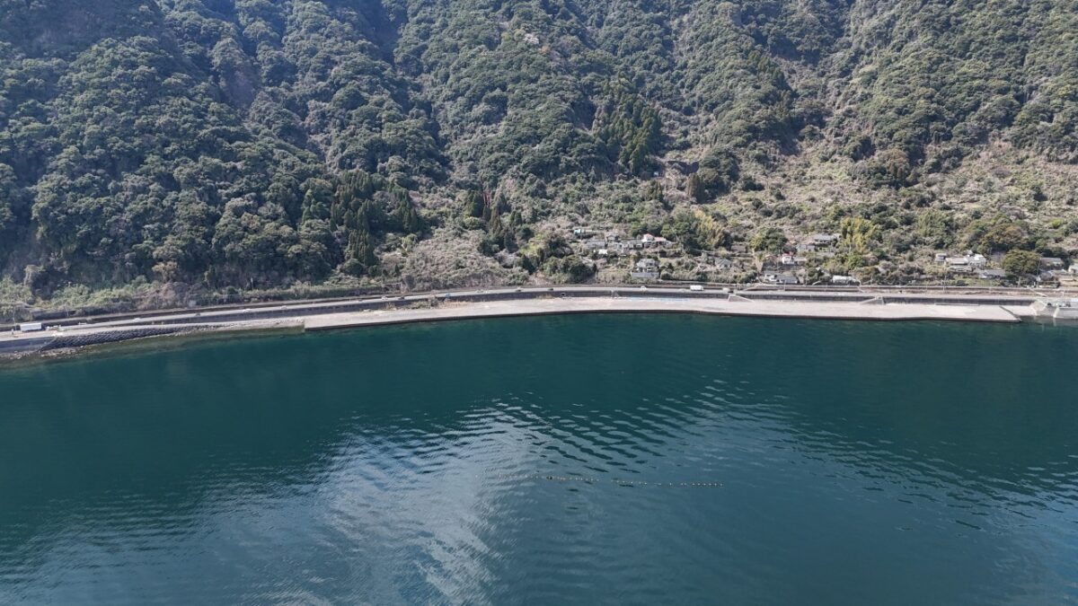 鹿児島10号白浜地区工事用道路整備（その13）工事